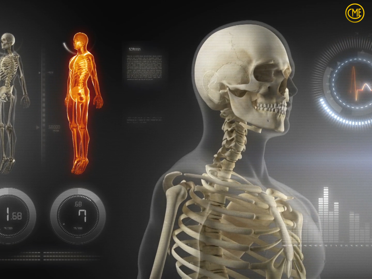 움직임 분석 / 강사 데모 사진