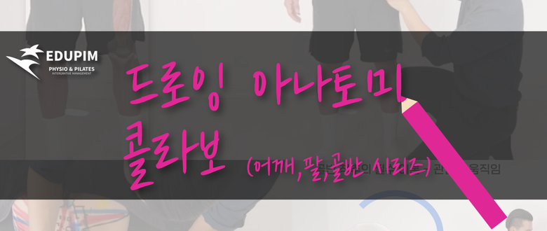 드로잉 아나토미 시리즈 (어깨,팔,골반)
