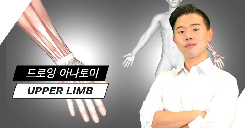 드로잉 아나토미 upper limb (arm & wrist)