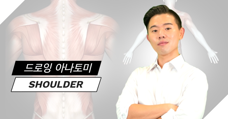 드로잉 아나토미 어깨 [SHOULDER] 